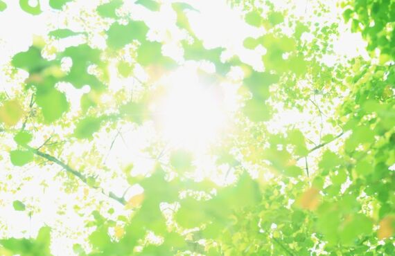 3.ヘッドスパで頭皮をケアして健康な髪に導く | 自由が丘のおしゃれでプライベートな美容室・風-FUU-